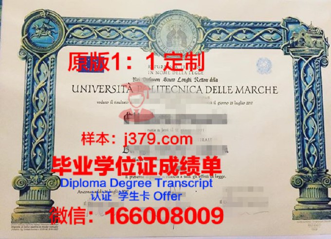 代尔夫特理工大学毕业证真伪(代尔夫特理工大学毕业率)