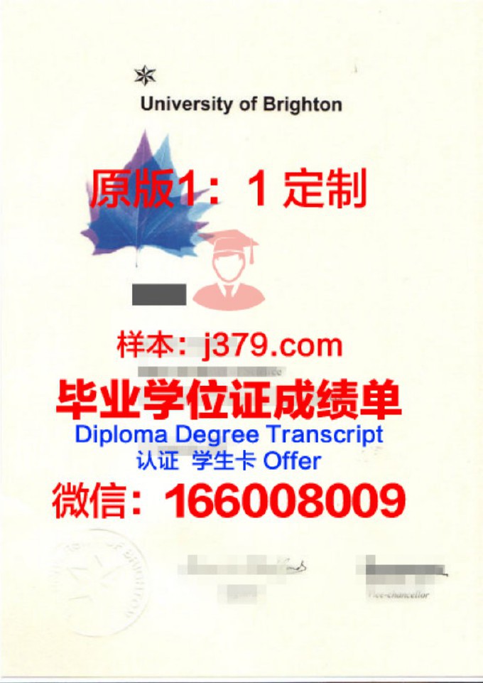 布莱顿大学毕业证样品University of Brighton Diploma