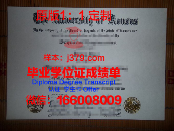 达拉斯大学毕业证样品University of Dallas Diploma