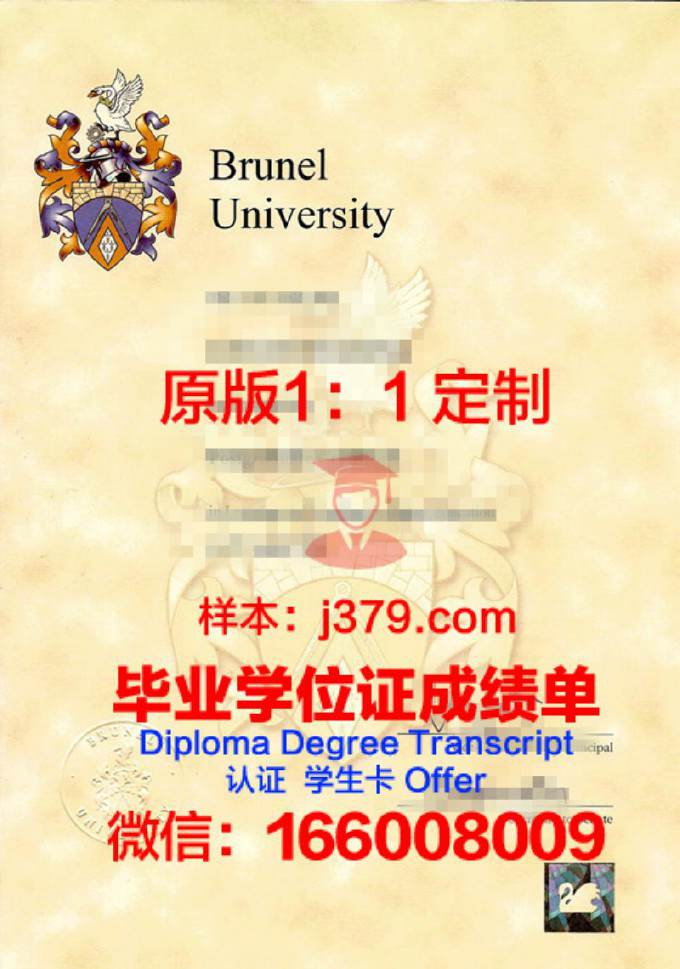 布鲁内尔大学毕业证Diploma文凭成绩单