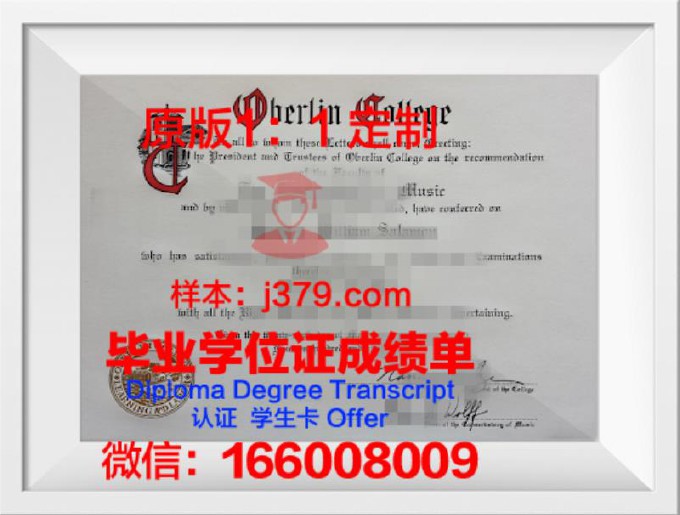 柏林自由大学毕业证Diploma文凭成绩单