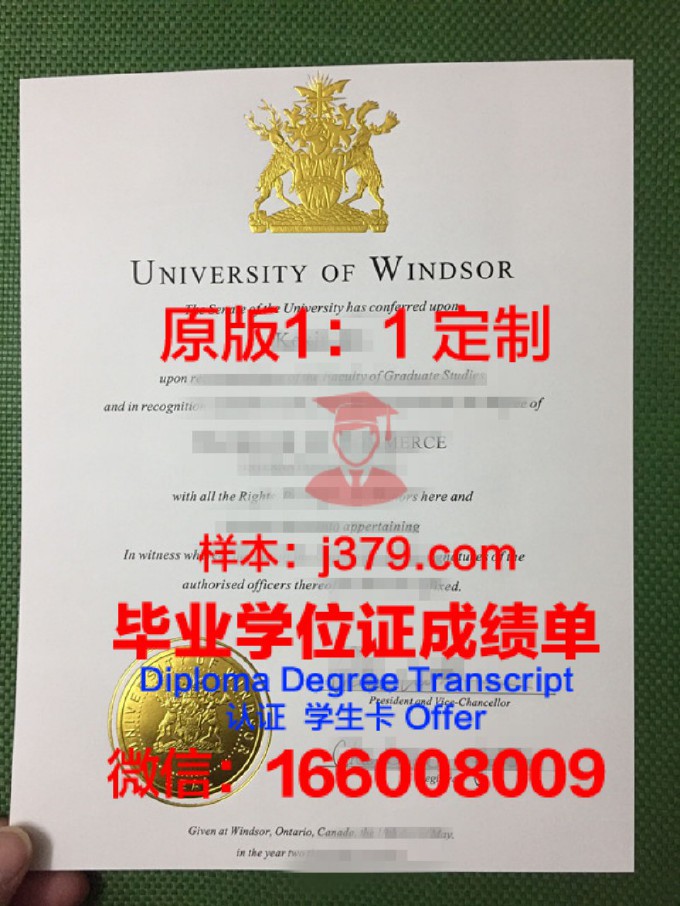 温莎大学毕业证样品University of Windsor Diploma