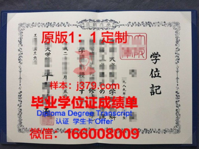 大阪市立大学毕业证Diploma文凭成绩单