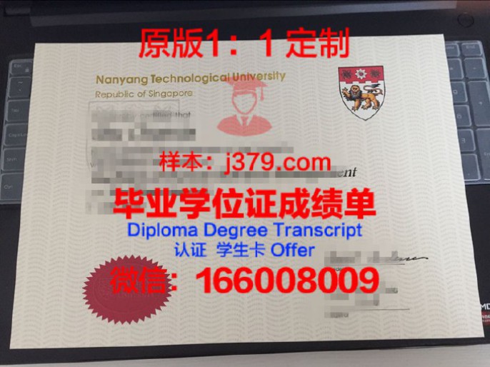 新加坡理工大学毕业证 Singapore Institute of Technology diploma