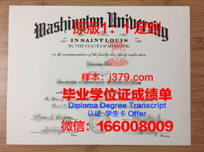 密苏里大学圣路易斯分校毕业证Diploma文凭