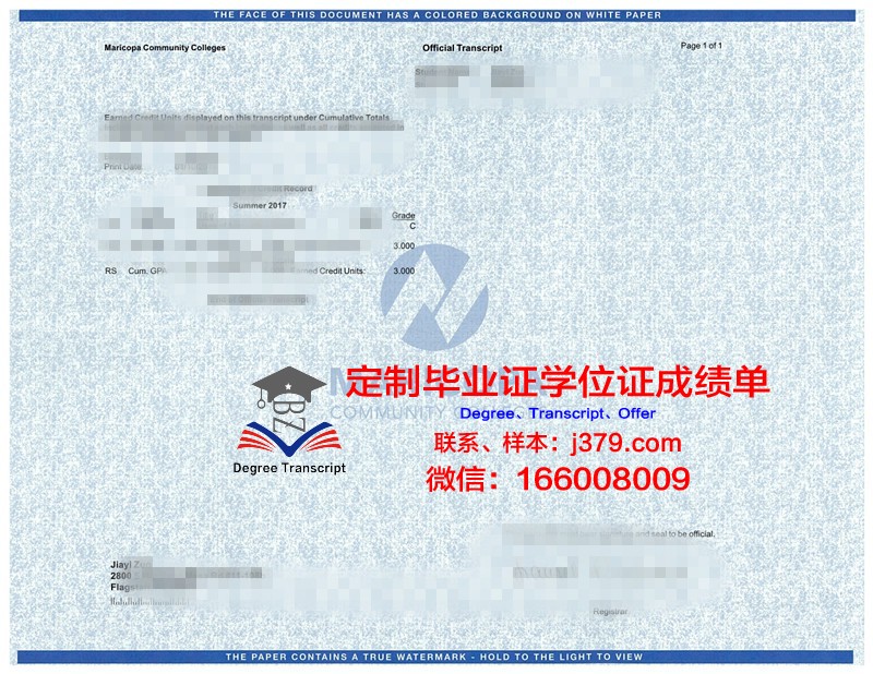 马拉加学院毕业学位