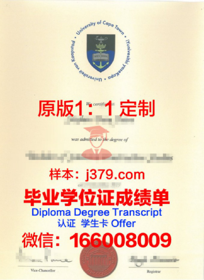 2006年南非工学院毕业证图片样本(南非的学制)