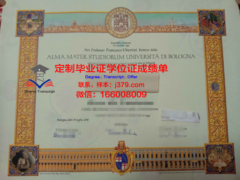 特兰西瓦尼亚大学 diploma 毕业证