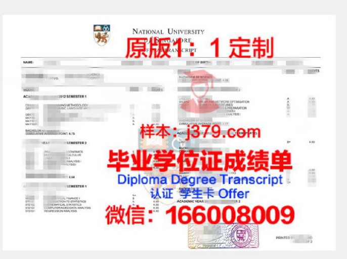 Bham Uni成绩单：一份展现学子学术成果的荣誉证书