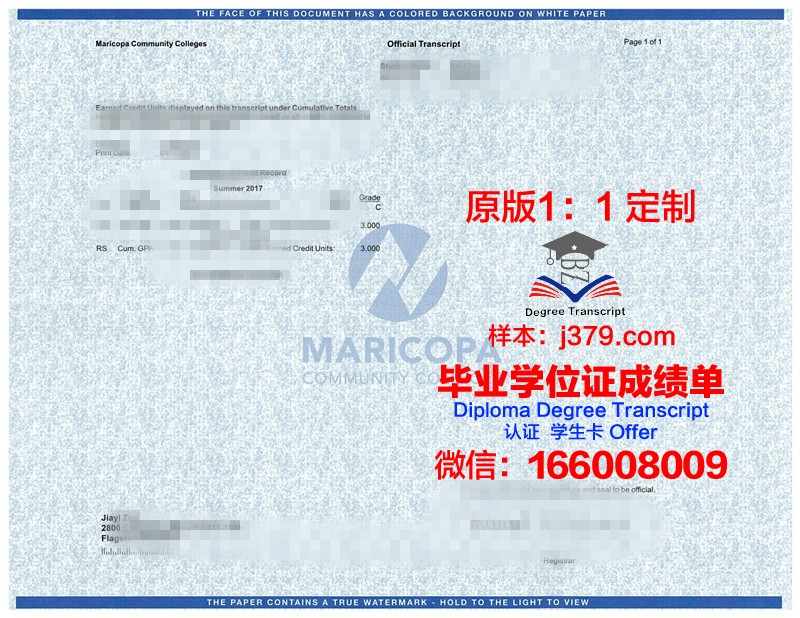 牙买加技术大学学位成绩单定制：探索高等教育认证的新途径