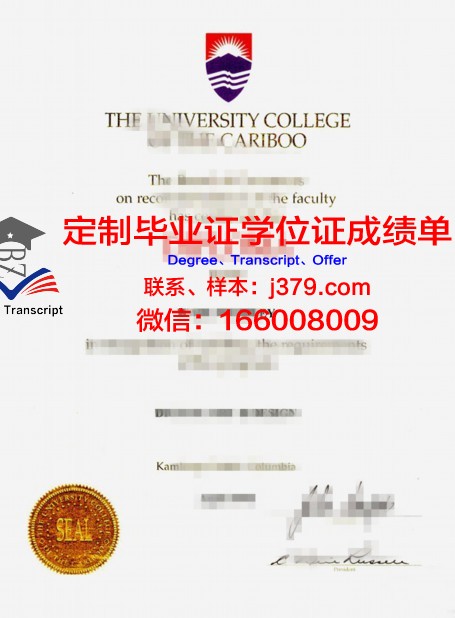 特里布万大学毕业证图片(特里布文大学孔子学院)