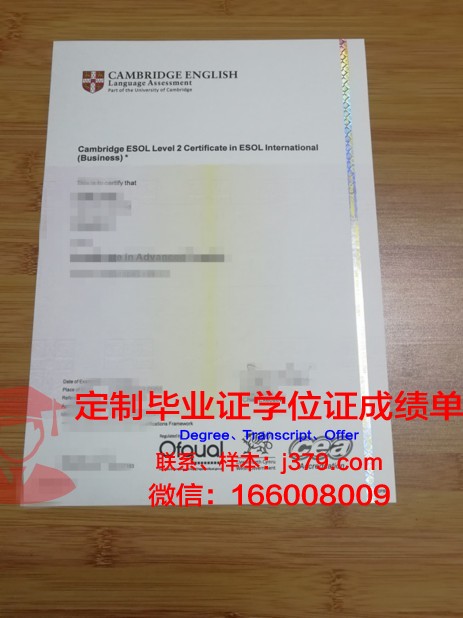 第戎大学材料研究高等工程师学院硕士毕业证书样本(材料科学与工程证书)