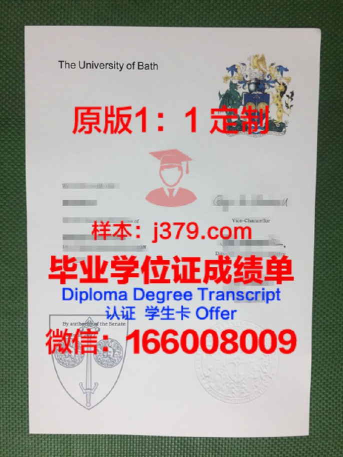 Bath Uni成绩单：英国巴斯大学的学术风采