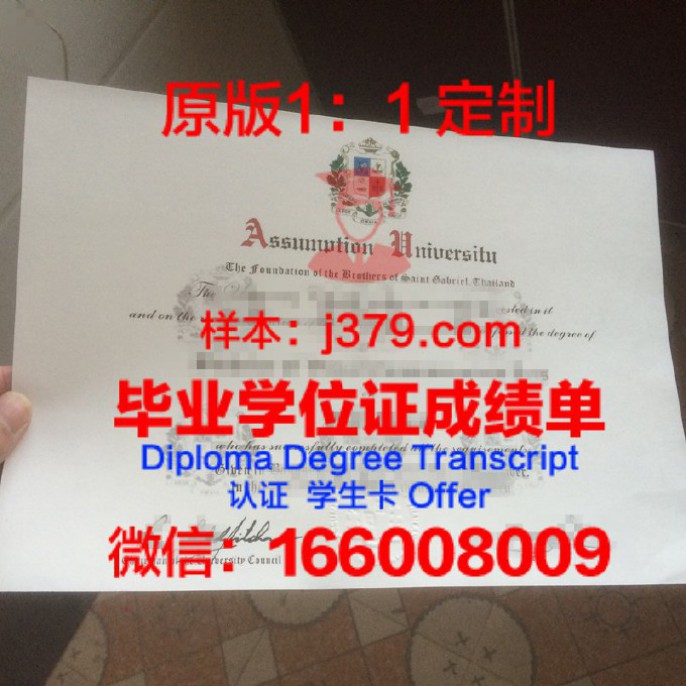 提契诺大学毕业学位