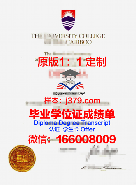 特里布万大学毕业证图片(特里布文大学孔子学院)