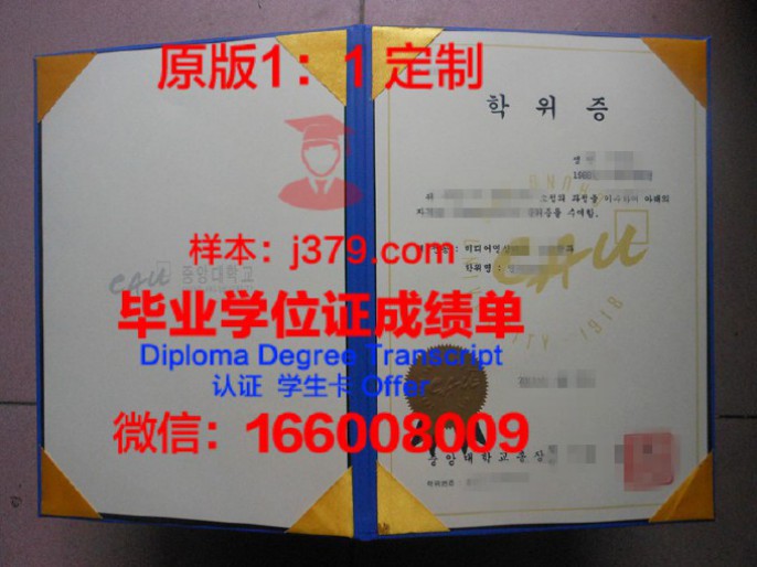 中央大学毕业证diploma