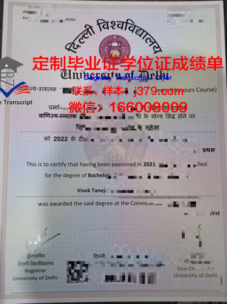 IVA德里贝亨商学院毕业证书原件