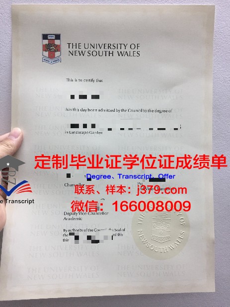 米纳大学硕士毕业证：一张纸背后的故事与价值