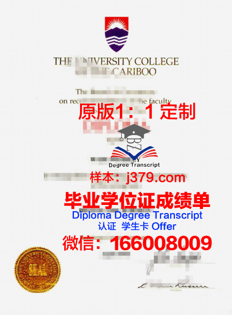 特里布万大学成绩单：揭开学术成就的神秘面纱