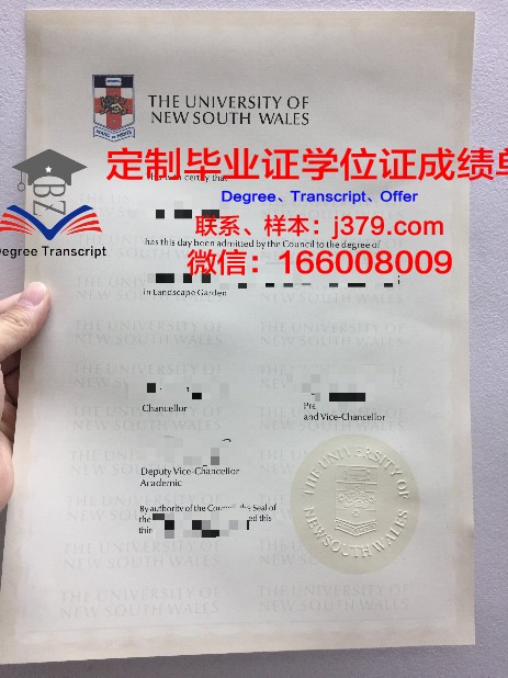 马尼亚大学毕业证：一张纸的重量与价值