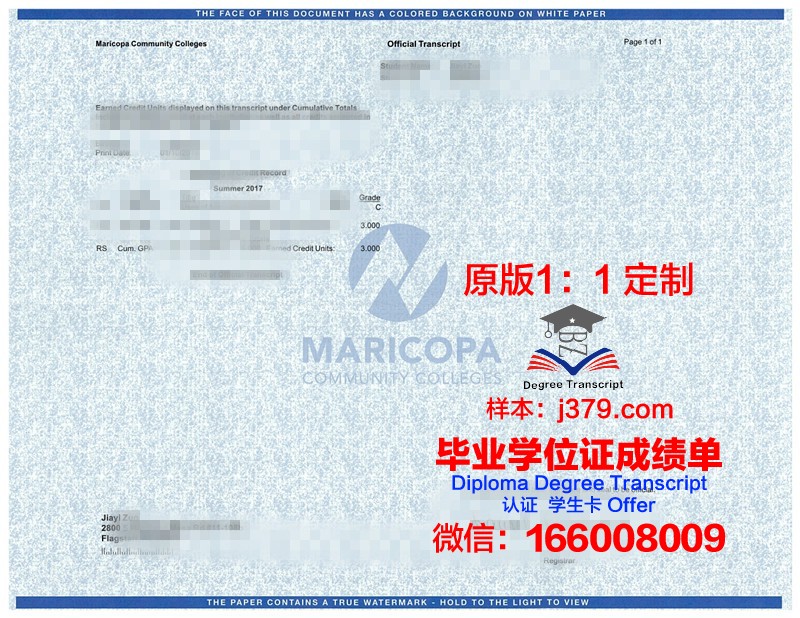 L-AndesU学位成绩单定制：开启学术认证新篇章