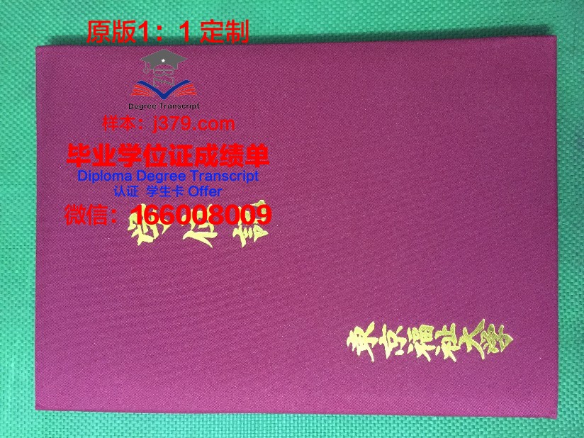 HAL东京专门学校毕业证书图片高清(hal东京到底怎么样)