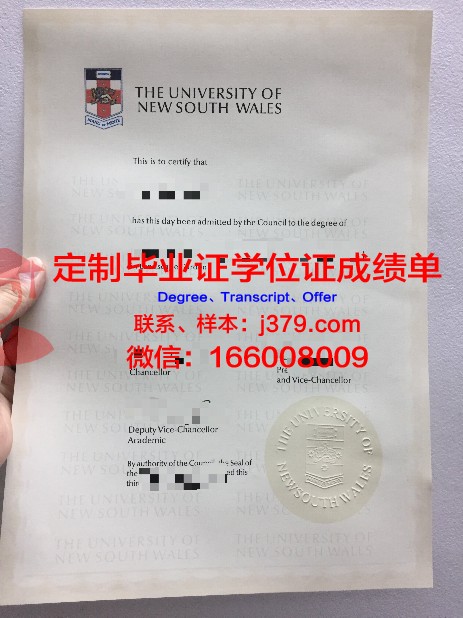 马斯特里赫特大学毕业证书(马斯特里赫特大学phd项目)