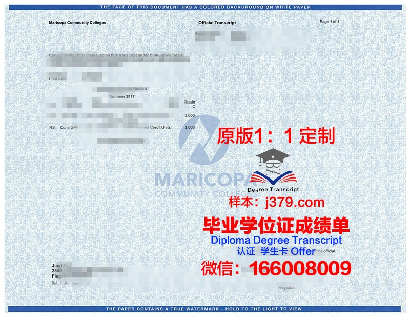 玛斯金格姆大学学位成绩单定制：专业与诚信的保障