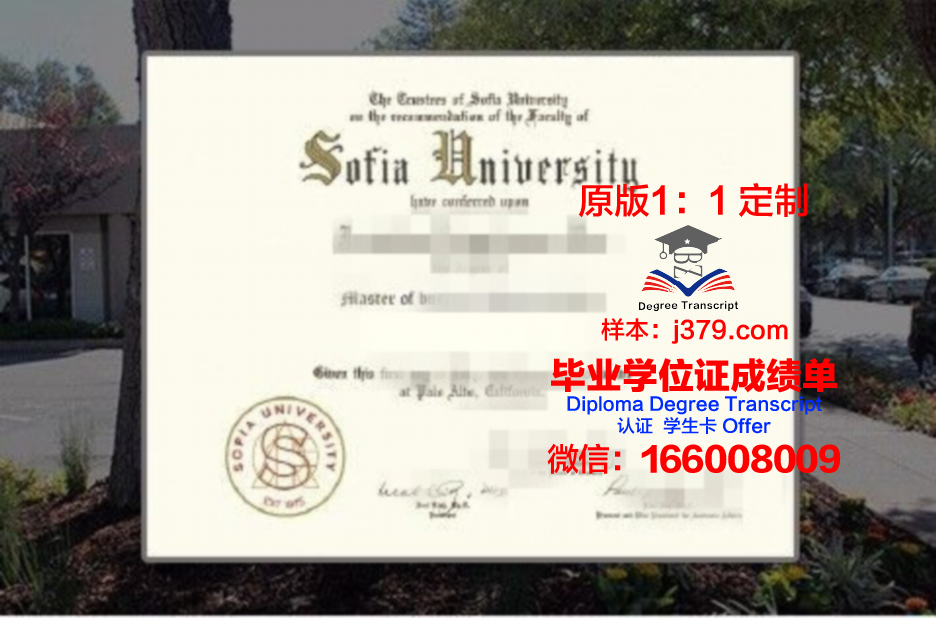 索菲亚大学毕业证书图片高清(索菲亚大学在职硕士)