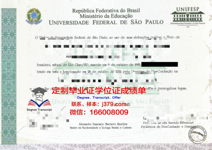 马托格罗索州联邦大学diploma证书