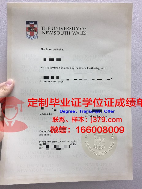 Hadi University本科毕业证：一份承载荣誉与梦想的证书