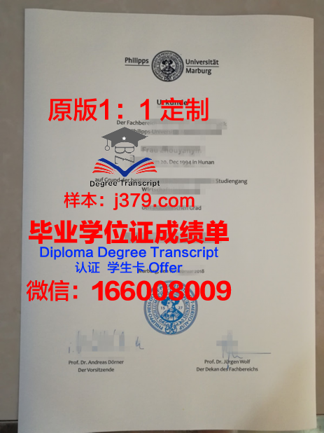 马尔堡大学拿不了毕业证(马尔堡大学语言班)