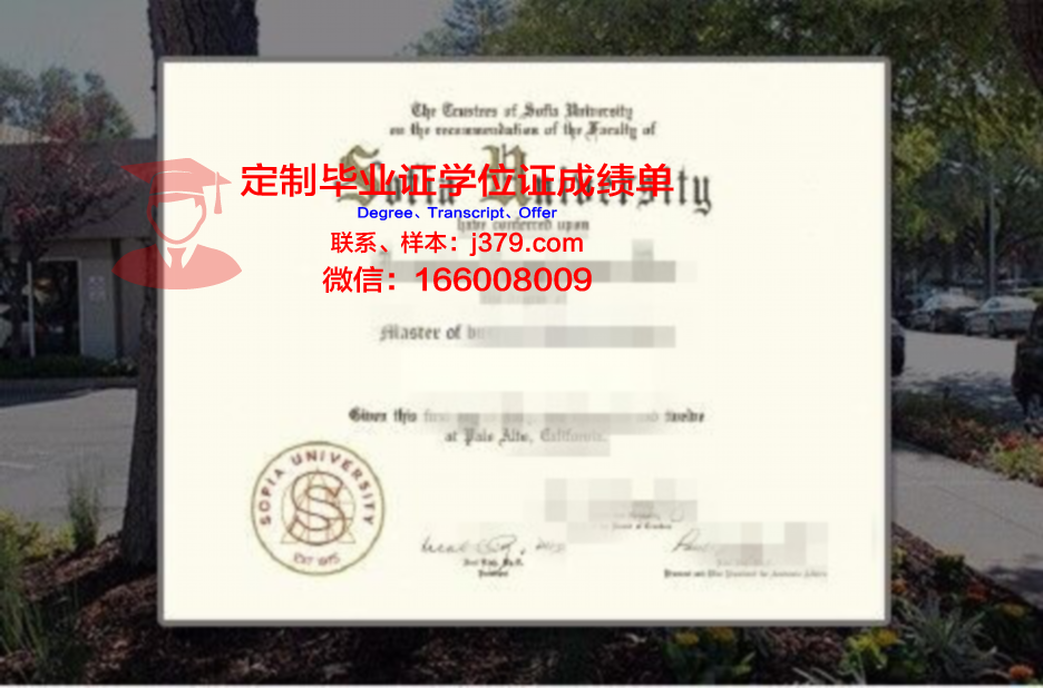 索菲亚国立美术大学证书(索菲亚大学qs)