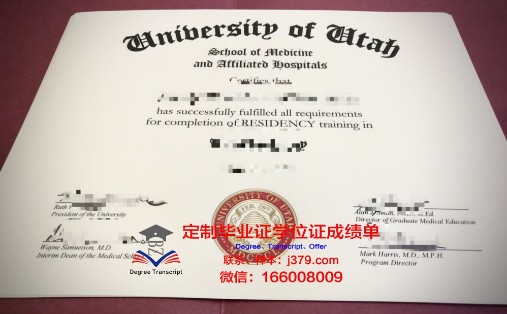 犹他谷大学 diploma 毕业证