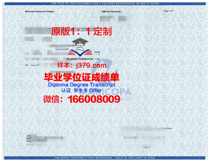 IIT Islamabad学位成绩单定制：追求卓越的学术证明