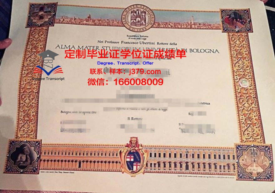 特兰西瓦尼亚大学 diploma 毕业证