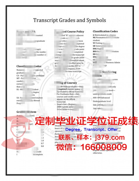 索尔特应用艺术与技术学院毕业证案例(索尔特公司)