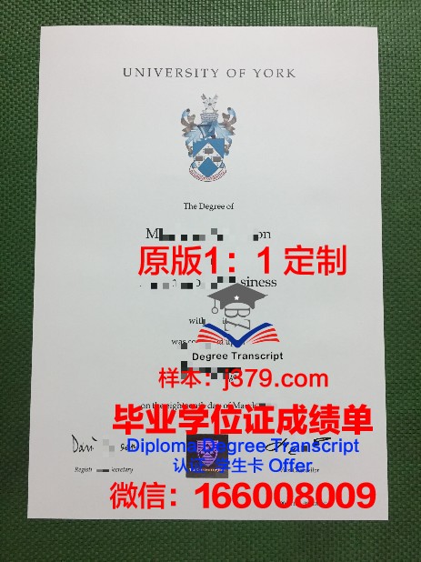 约克大学成绩单怎么查(约克大学成绩单怎么查询)