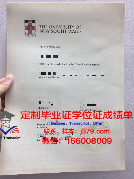 马库米拉图玛伊尼大学硕士毕业证：一张通往未来的通行证