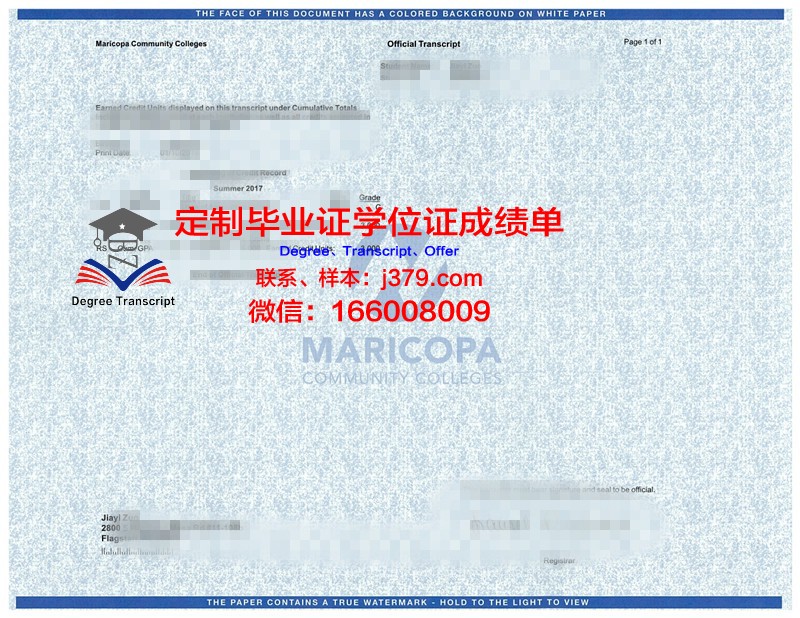 玛工学位成绩单定制：专业、精准、个性化服务解析