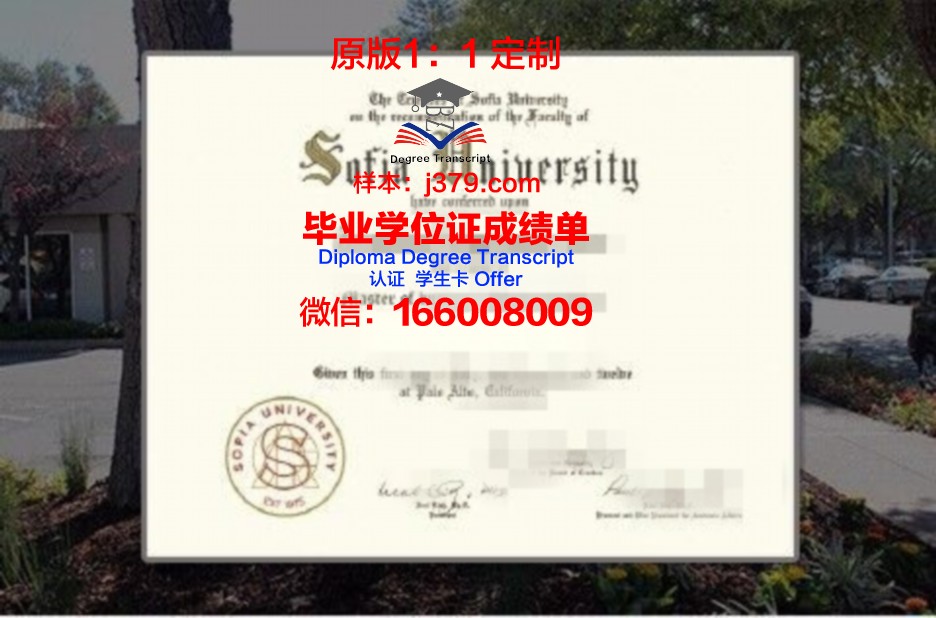 索菲亚大学毕业证书图片高清(索菲亚大学在职硕士)