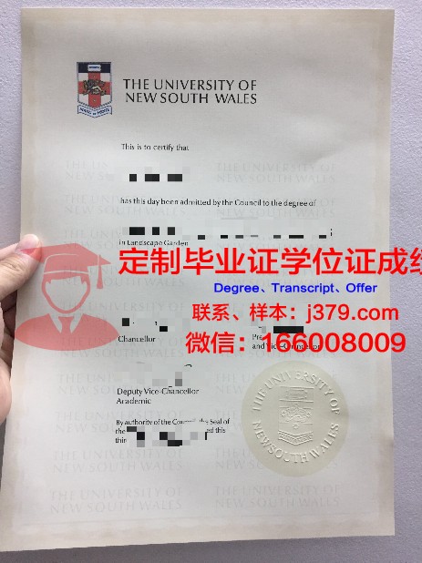 马尔马拉大学博士毕业证：一份跨越文化与学术的荣耀证书