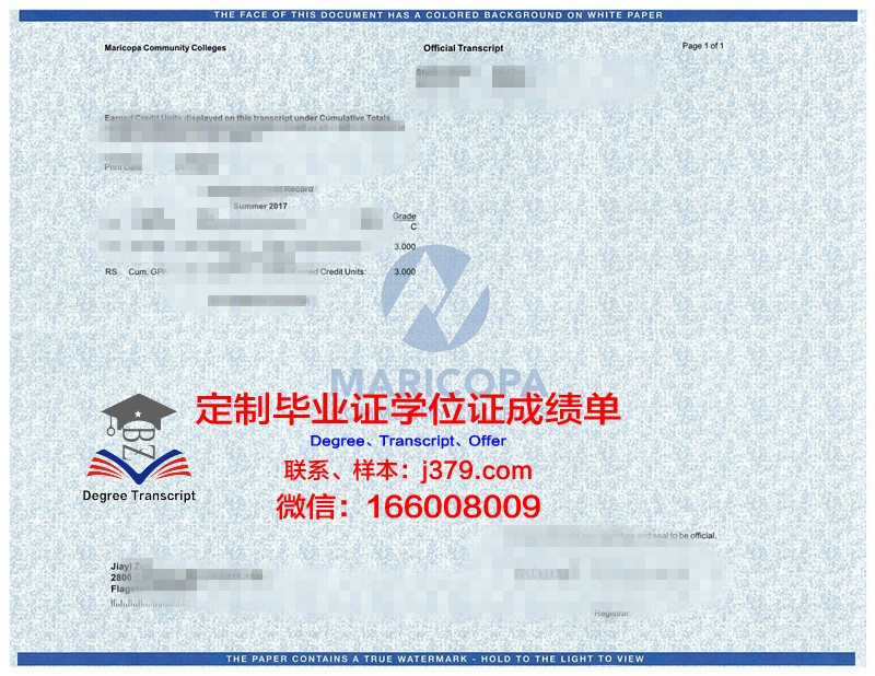 HAWKEYE成绩单：揭示学生潜能的新视角