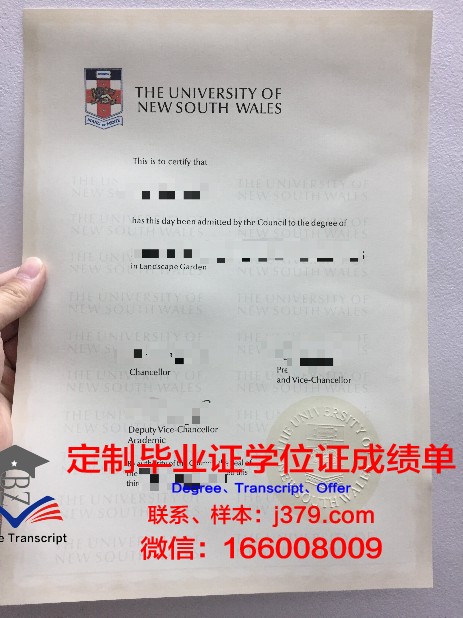 IITB博士毕业证：一份珍贵的学术荣誉