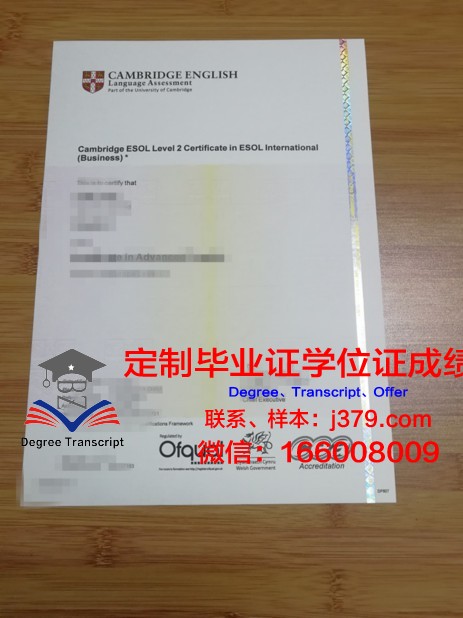 IE大学博士毕业证书(博士毕业证书学位证书)