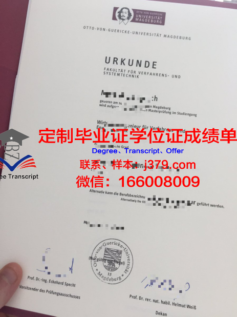 马格德堡大学毕业证案例(马格德堡大学相当于国内什么大学)