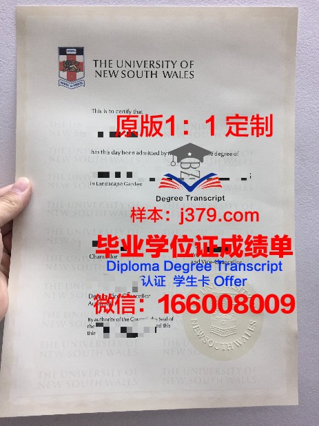 IE大学 diploma 毕业证