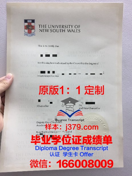 KPT大学本科毕业证：一张纸的重量与价值