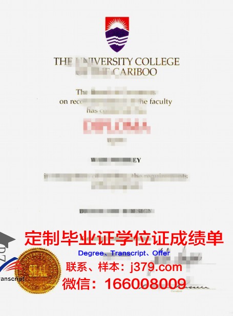 特里布万大学毕业证书图片(特里·布特)