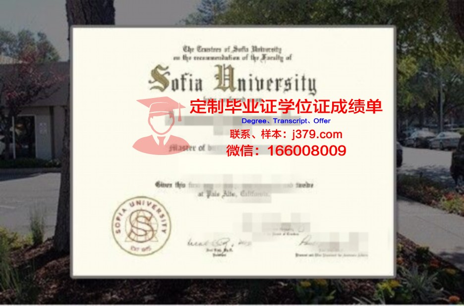 索菲亚国立美术大学证书(索菲亚大学qs)